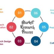 Primary Market Research